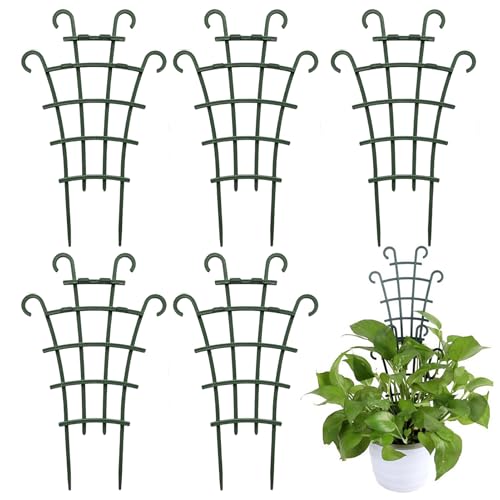 Plant Trellis | Pothos Trellis for Vertical Growth,Peas Support Stakes,for Indoor Outdoor Garden Pots Monstera Flowers Vine Ivy Pothos Peas