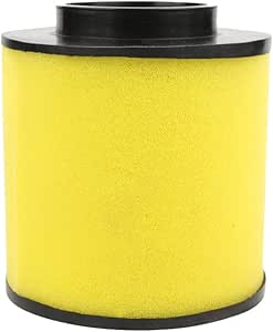 Honda Spazio Cn 250 Air Filter Cleaner For Honda Recon 250 TRX250TE 2x4 ES 2002-2016 17254-HM8-000 E Honda Sky