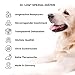 Dr. Link Spezial-Diät Hundefutter Hunde Proteinquelle Pute – Magen, Darm, Verdauung - leicht verdaulich, unterstützt Darmflora & Bauchspeicheldrüse – 6x400g Dose