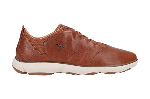 Image of Geox Men's Mnebula17 Fashion Sneaker | Casual Shoes