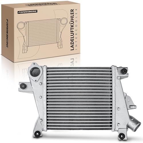 Frankberg Intercooler turbador de refrigeración del motor compatible con X-Trail T30 2.2L Diesel 2001-2005 Replace# A4461-EQ40A