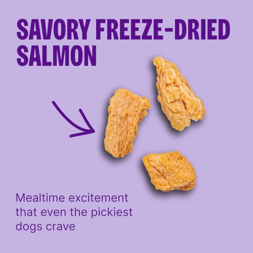 Image of Wellness CORE+ Sensitive Skin and Stomach Adult Dry Dog Food with Freeze Dried Pieces, Wholesome Grain Kibble+, Natural, High Protein, Chicken Free, Salmon and Rice Recipe, 18 lb Bag