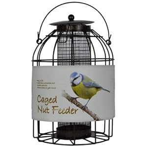 Green Jem Dome Caged Pinda Wild Bird Feeder, ontworpen om eekhoorns en ook grotere tuinvogels zoals duiven en duiven af te schrikken.