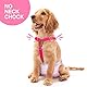 Pet Soft Hundewindel-Hosenträger, 2 Stück Hunde-Hosenträger, Hunde-Windelgeschirr, Hosenträger für Windeln, Damen, Welpen-Hosenträger, Bauchbänder, Haustier-Kleidung (Schwarz-Rosa, L)