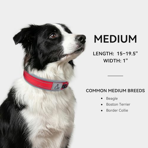 Image of Joytale Dog Collar for Medium Dogs, Neoprene Padded and Adjustable, Reflective Wide Heavy Duty Pet Collars with Durable Metal Belt Buckle for Walking, Red, M