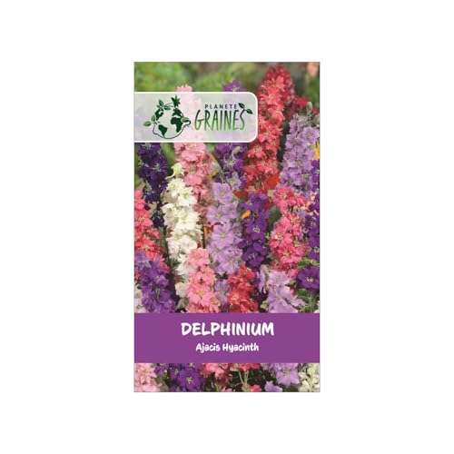 250 Graines de Delphinium (Pied d'Alouette) - Mélange de Couleurs Variées - Fleur Vivace...
