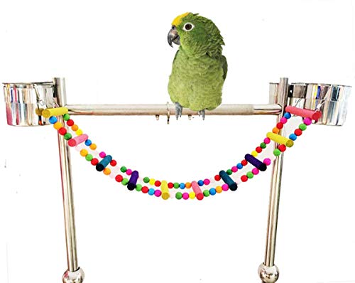 Wonninek Uccello Pappagallo Giocattoli Scale