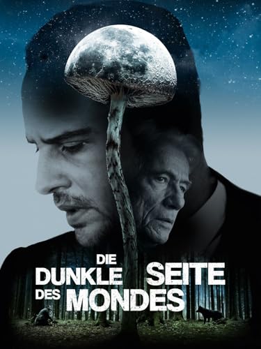Die dunkle Seite des Mondes