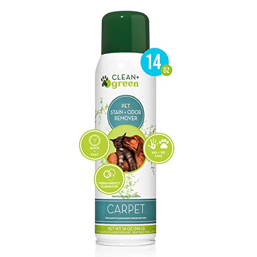 Pet Carpet Cleaner Spray and Odor Eliminator - Natural Stain Remover for Cat or Dog Messes - Professional Carpet Cleaners, Fabric Cleaner, Carpet Cleaner Solution (14oz, Unscented)