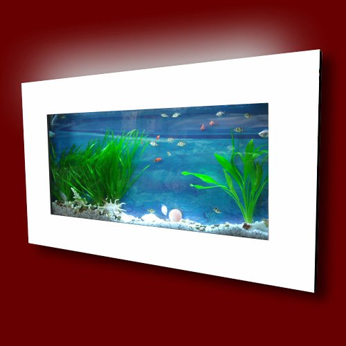 wall mounted aquarium