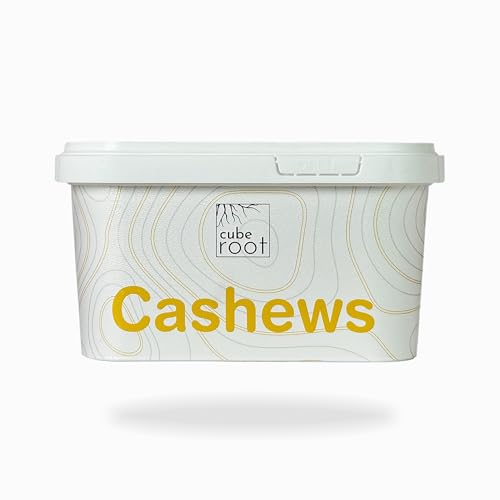 Image of Cube Root 100% Natural Whole Cashew Nuts 500g, W320 Grade (Medium size), Airtight Container, Dry Fruits