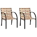 vidaXL 2X Sedie da Giardino Classiche Sedute Poltroncine con Braccioli Ricurvi Robuste Elegante Arredi da Esterno Naturale in Legno e Acciaio