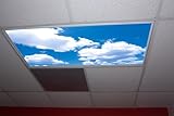 Cumulus II Skypanels; Fluorescent Light Diffuser