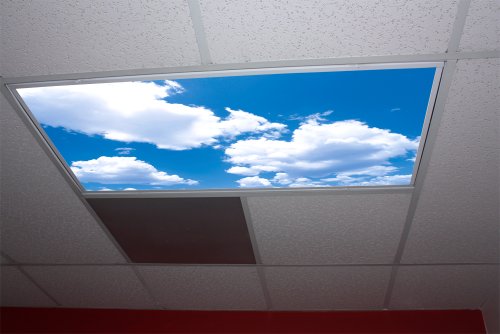 Cumulus II Skypanels - Replacement Fluorescent Light Diffuser