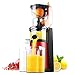 Produktbild L.TSN Haushalts Frucht Gemüsesaft Auszieher Mischmaschine, Zwei-Port-Launch+Leise Anti-Oxidation+Materialien In Lebensmittelqualität+Langsamlaufextrusion+180Watt, Einfach Zu Säubern, Red
