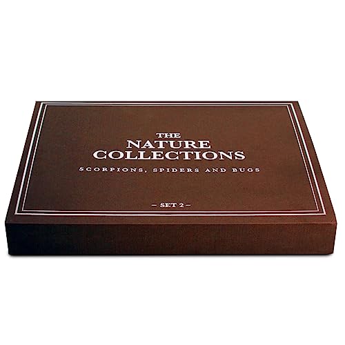 Image of Geoworld Nature Collection Insects in Resin: 12 Insects - Wasps, Spiders, Beetles and More - STEM Education or Collection Set