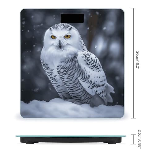 Báscula Digital para Baño con Plataforma de Vidrio Templado miniatura 2