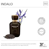 PARIS ELYSEES - Indalo - Eau de Toilette - Perfum Męski - Drzewny i Przyprawowy - Czarny pieprz, Geranium - Woda toaletowa męska - Atomizer 100ml - Zawiera flakon podróżny 5ml