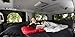 ROADIE- The OVERNIGHTER SUV Window Tent with Bug Screen and Retractable Awning – Great for Camping in an SUV. (Patented)