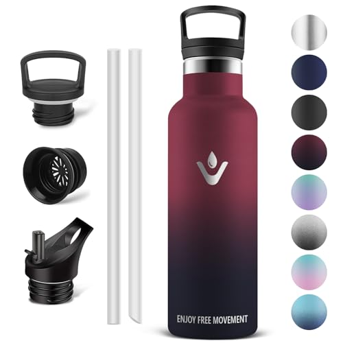Vikaster Botella agua, 500ml Botella agua acero inoxidable, Termo con Pared Doble Aislamiento, Mantener 12H Caliente/24 Frío, Termo Sin BPA, para Deporte, Viaje, Escuela, Exterior, Oficina, Hogar.