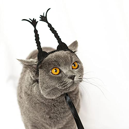 GUOJFEN Pet Halloween Copricapo Gatto Cane con