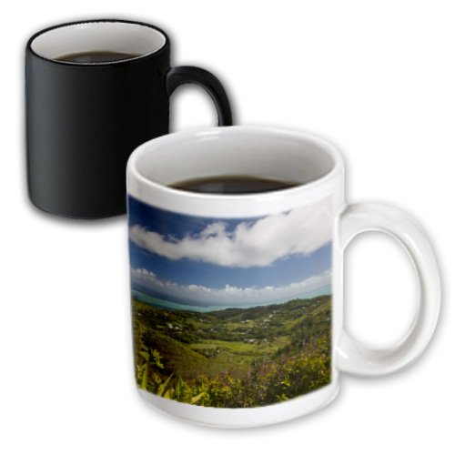 3dRose Mauritius, Mt Lubin, View from Mt Limon 11oz Magic Transforming Mug