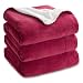 Bedsure Sherpa Fleece Blanket Queen Size Red Plush Throw Blanket Fuzzy Soft Blanket Microfiber