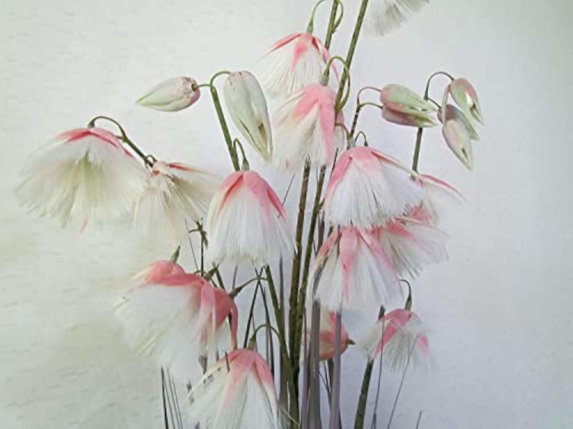 Princess Grass Artificial Plant with Basic Pot