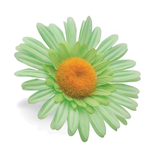 Electra bicycle vélo vert menthe cintre motif