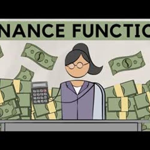 Overview of the Financial Function Introduction
