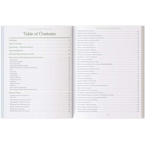 The Lost Book of Herbal Remedies - Paperback