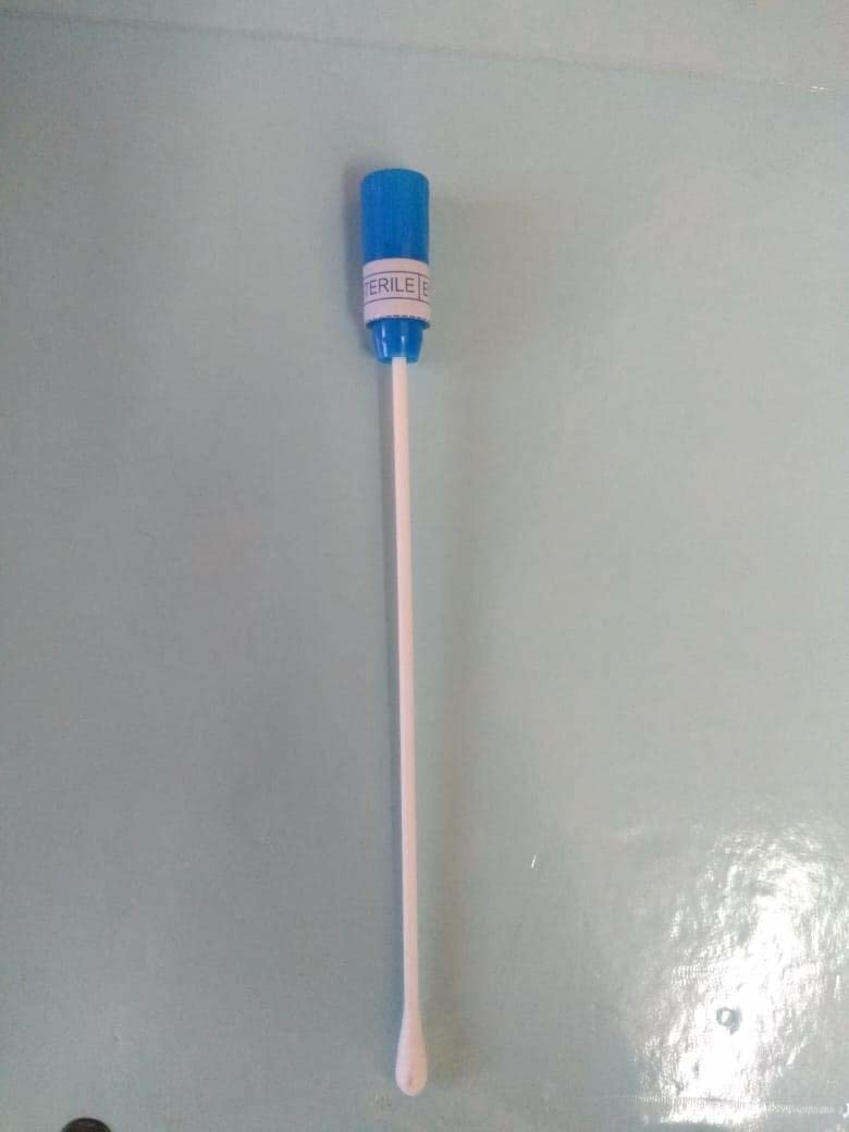 Varillas de hisopo esterilizadas de madera en tubos de plástico (paquete de 200)