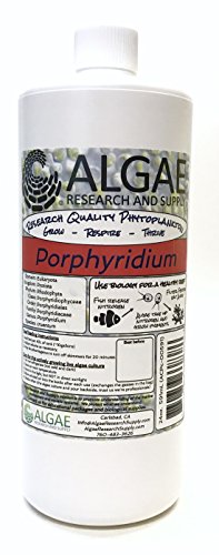Algae Research Supply Algae Culture Porphyridium Cruentum, Perfect for School Science Fairs/Projects, Experiments & Classrooms (1000mL)