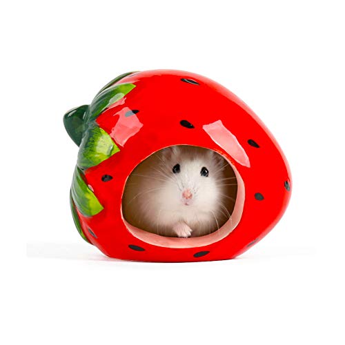 LaMure - Casa de hámster de cerámica con forma de fruta, para hámster, verano, frío, invierno, cálido, para hacer nido de animales pequeños
