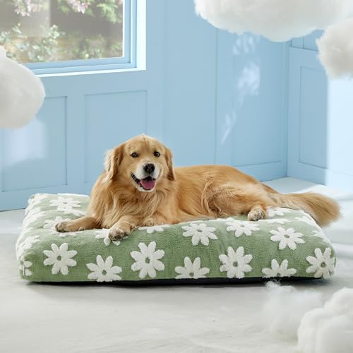 Lesure-Extra-Large-Dog-Bed-Thick-Shredded-Chopped-Foam-Pet-Bed-Indoor-with-Removable-Cover-Cute-Modern-Fuzzy-Plush-Anti-Slip-Bottom-Green Lesure Extra Large Dog Bed Thick Shredded Chopped Foam Pet Bed Indoor with Removable Cover Cute Modern Fuzzy Plush Anti Slip Bottom Green