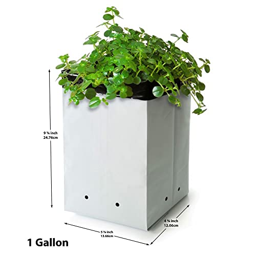 Lassalt GB-01-W-30PK Plastic Grow Bags Multipack 30 Pack 10-1 Gallon thumb #1