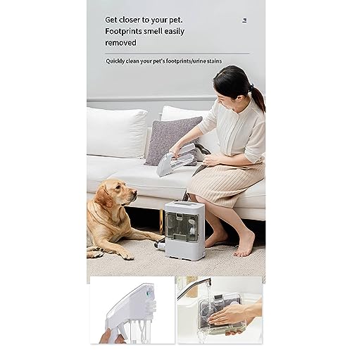 Banktapijtreinigingsmachine, laat uw huis er gloednieuw uitzien! Reinigingsmachine Zuig geïntegreerd - Image 3