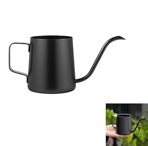 Indoor Watering Can with Long Spout, 350 ml, Stainless Steel, Small Decorative Plant Water Can