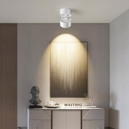 Image of ziidoo Spotlight Indoor Ceiling LED Lights,12W Modern Spot Light Fixtures 4000K White Lamp 360Adjustable Picture Wall Sconce for Living Room Hallway Gallery Flush Mount Directional (mid, Count, 1)