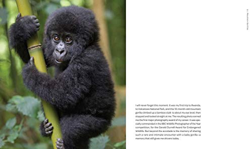 Earth Aware Editions Eszterhas, Suzi New On Earth: Baby Animals In The Wild thumb #1