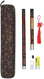 Professional Bamboo Flute Dizi 8-Year Dried Bitter Bamboo Golden Embossed Body Flute Film Solid Glue Traditional Chinese Instrument