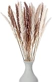 Decor Dance Natural Dried Pampas Grass, 30 Pcs (17 inch Stems) Boho Floral Decorative Flower Arrangement Home Decor for Living Room Kitchen or Office, Long, Soft and Fluffy Stalks, Brown and White