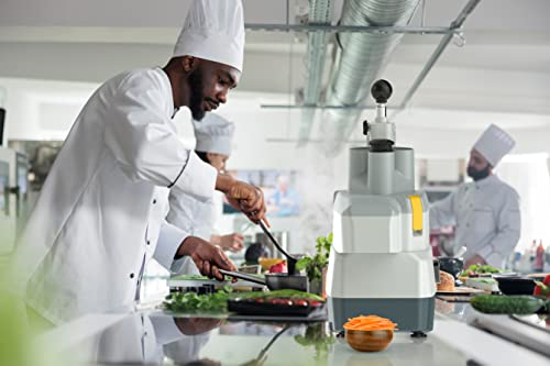 2-In-1 Commercial Food Processor With 3 Quart Stainless Steel Bowl - Continuous Feed 1 Hp Multifunctional Vegetable Cutter Restaurant Food Processor With 4 Discs & S Blade - Compact & Easy To Clean #TOP2