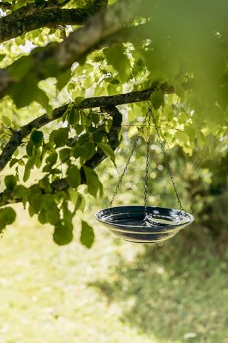 TRIXIE Vogel Garten Outdoor VOGELTRÄNKE, HÄNGEND, KERAMIK, 530 ml/ 26 cm, BLAU - 55520