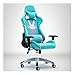 LCSD ACHETER Jeu E-Sports Home Computer DVA Rose Racing Dortoir Ancre Tournant Bureau (Couleur : Bleu)