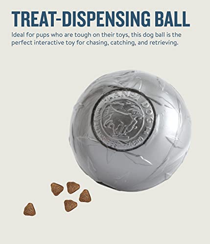 Planet Dog Orbee-Tuff Diamond Plate Silver Treat-Dispensing Dog Toy, Large #TOP2