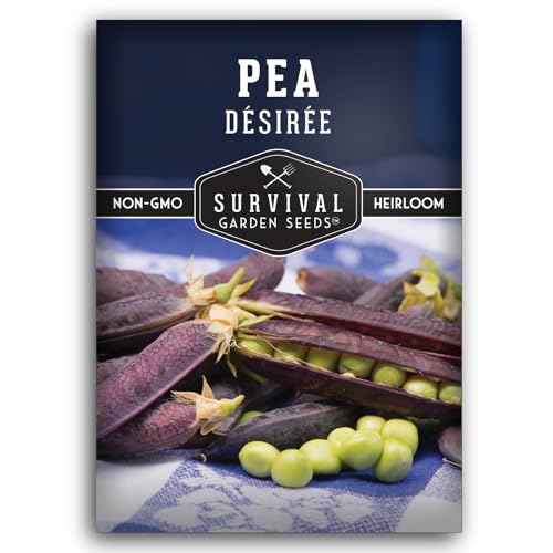 Desiree Pea Seed for Planting - 1 Packet with Instructions to Plant and Grow Delicious Purple-Podded Snap Peas in Your Home Vegetable Garden - Non-GMO Heirloom Variety - Survival Garden Seeds
