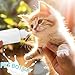 GKYZBB 4Pack 120ML pet Puppy Bottles for Nursing,Kitten Bottle Feeding Kit Nipple for Newborn Kitten Puppy Rabbits Squirrel Animals