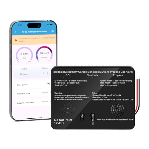 Briidea Bluetooth RV CO/Propane Detector