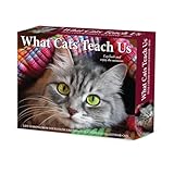 Willow Creek Press What Cats...